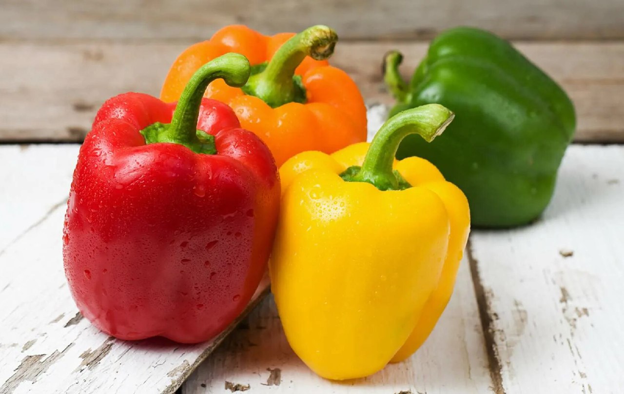 After Transplanting Bell Pepper: 7 Practical Steps for Higher Yield