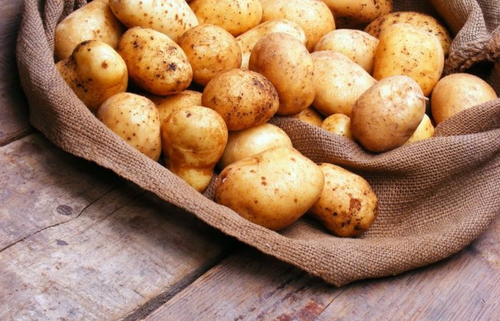 Kartoshka urug‘ligi sifati: barqaror hosil uchun 7 amaliy qoida